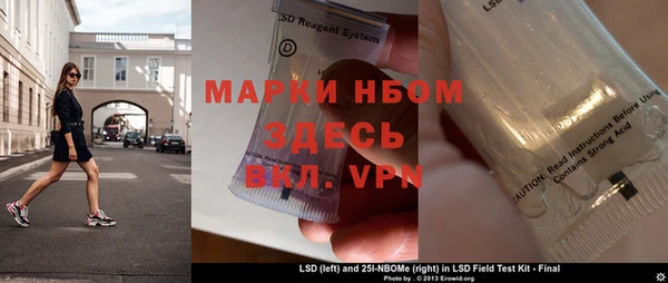 индика Сатка