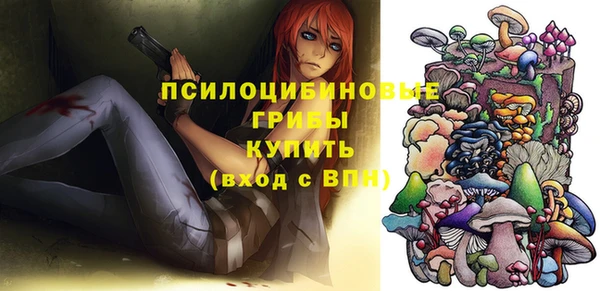 2c-b Сафоново