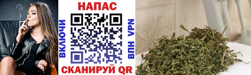 Бошки Шишки план  ссылка на мегу как войти  Гаврилов-Ям 